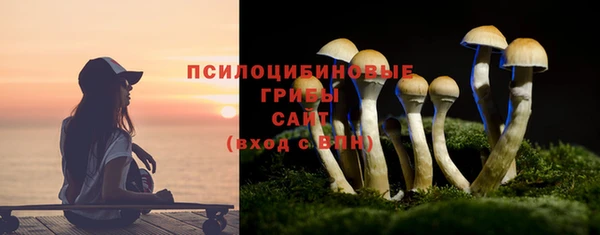 скорость mdpv Гусиноозёрск