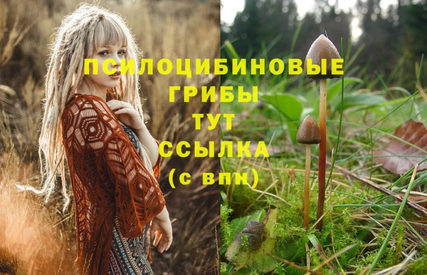 скорость mdpv Гусиноозёрск