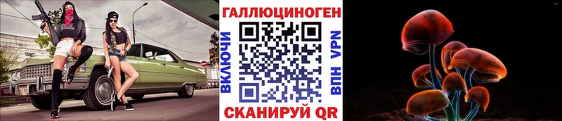 Галлюциногенные грибы Psilocybe  где можно купить   Новохопёрск 
